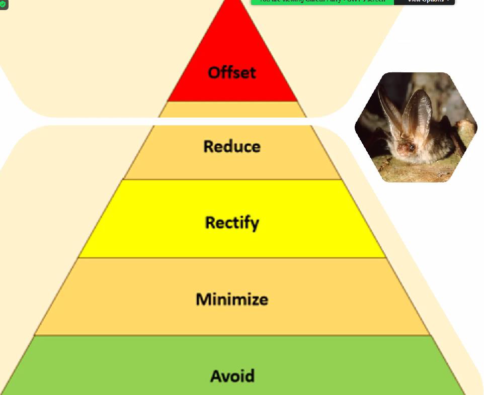 Mitigation Hierarchy